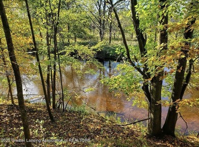 (private lake, pond, creek) Lot For Sale in Portland Michigan
