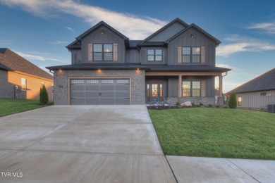 Boone Lake Home For Sale in Johnson City Tennessee