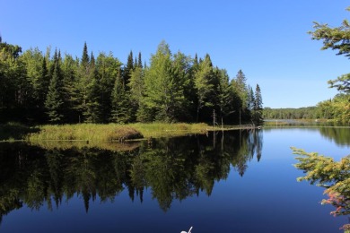 Lone Pine Lake Acreage For Sale in Presque Isle Wisconsin