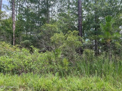 Great 3 acre parcel in a rural area of Hancock County near - photo 2