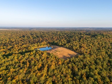 Welcome to The Triple 777 Ranch, a stunning 467.22 +/- acre - photo 22