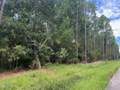 Great 1.5 Acre parcel to build your dream home in beautiful - photo 3