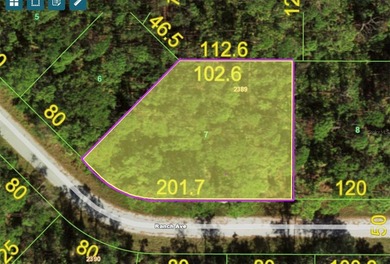 Port Charlotte Waterway Area Lot For Sale in Port Charlotte Florida