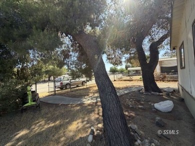 This property is walking distance to the lake! The .13-acre lot - photo 32