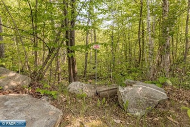 Extraordinary Lake Vermilion legacy estate featuring nearly one - photo 44