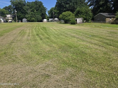 Prime commercial land opportunity on highly traveled Hughes - photo 3