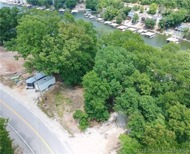 The Waters is the only new premier lake development on Horseshoe - photo 9