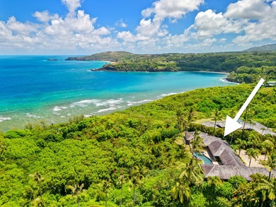 An elegant modern oceanview estate in Anini Vista on the North - photo 20