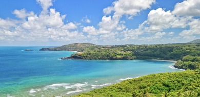 An elegant modern oceanview estate in Anini Vista on the North - photo 21