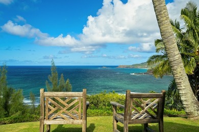 An elegant modern oceanview estate in Anini Vista on the North - photo 28
