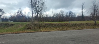 Lake Lot For Sale in West Salem, Ohio