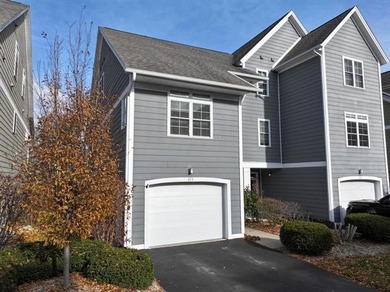 Grand Traverse Bay - West Arm Condo For Sale in Traverse City Michigan