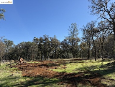 Build your dream home (or compound) on 14.48 acres of oak forest - photo 11