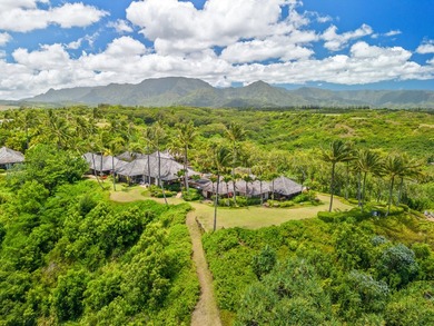 Set on 6.87 acres above Anini Reef on Kaua'i's North Shore, this - photo 11