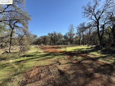 Build your dream home (or compound) on 14.48 acres of oak forest - photo 12