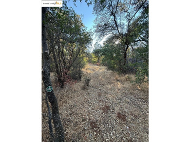 Build your dream home (or compound) on 14.48 acres of oak forest - photo 14
