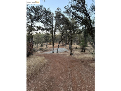 Build your dream home (or compound) on 14.48 acres of oak forest - photo 15