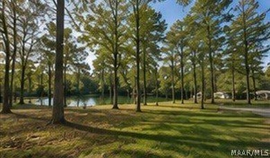 Tucked away in the quiet charm of Jackson, Alabama, this - photo 5