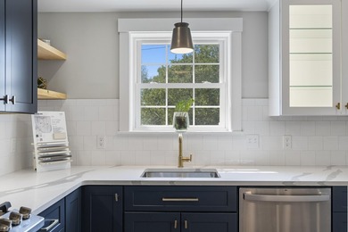 Now introducing The Birch Build Package at Village on Pleasant - photo 15