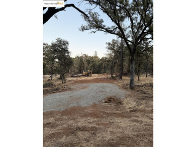 Build your dream home (or compound) on 14.48 acres of oak forest - photo 16