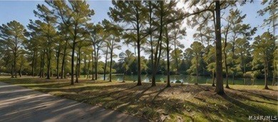 Tucked away in the quiet charm of Jackson, Alabama, this - photo 7