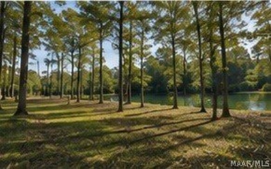 Tucked away in the quiet charm of Jackson, Alabama, this - photo 8