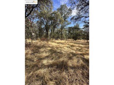 Build your dream home (or compound) on 14.48 acres of oak forest - photo 21