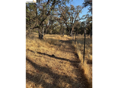 Build your dream home (or compound) on 14.48 acres of oak forest - photo 23