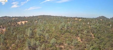Build your dream home (or compound) on 14.48 acres of oak forest - photo 25