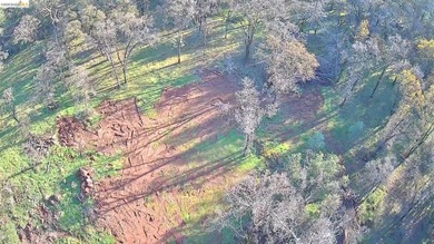 Build your dream home (or compound) on 14.48 acres of oak forest - photo 26