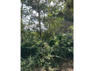Nice waterfront lot. Over 300 ft on the water. Possible owner - photo 1