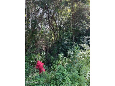 Nice waterfront lot. Over 300 ft on the water. Possible owner - photo 2