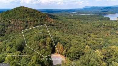 Carters Lake Lot For Sale in Ranger Georgia