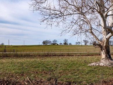Farm offers 131.19 Acres, 2 sides of road frontage (1 being - photo 11