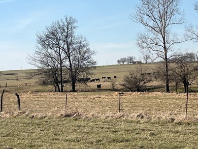 Farm offers 131.19 Acres, 2 sides of road frontage (1 being - photo 13