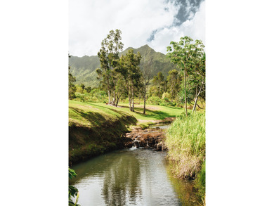 Silverfarms Ranch is a North Shore sanctuary where water - photo 14