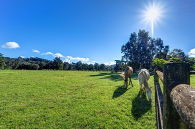 Silverfarms Ranch is a North Shore sanctuary where water - photo 19
