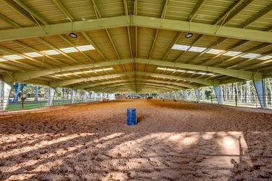 Silverfarms Ranch is a North Shore sanctuary where water - photo 25