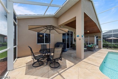 This beautiful western exposure lakefront Pool & Spa home in the - photo 34