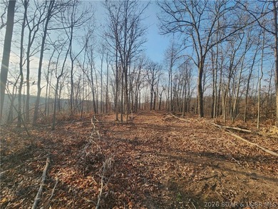 This scenic property features high ridges with incredible views - photo 4