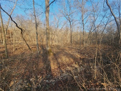 This scenic property features high ridges with incredible views - photo 3
