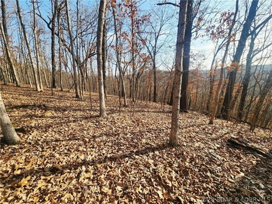 This scenic property features high ridges with incredible views - photo 9