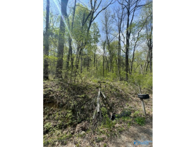 Lake Lot For Sale in Grant, Alabama