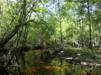 Bolens Pond Acreage For Sale in Barnwell South Carolina