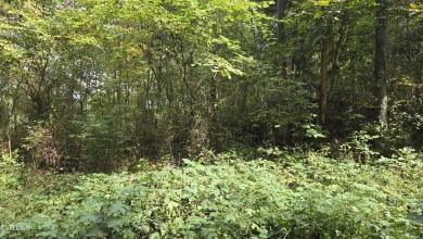 Boone Lake Lot For Sale in Gray Tennessee
