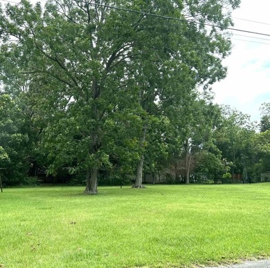 Beautiful lot located just minutes from downtown Foley, OWA, the - photo 3