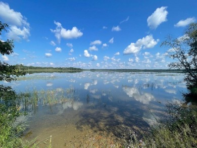 (private lake, pond, creek) Lot For Sale in Ponsford Minnesota