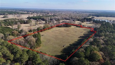 Welcome to this gorgeous open 18 acres surrounded by the - photo 4