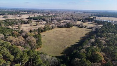 Welcome to this gorgeous open 18 acres surrounded by the - photo 7