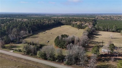 Welcome to this gorgeous open 18 acres surrounded by the - photo 8
